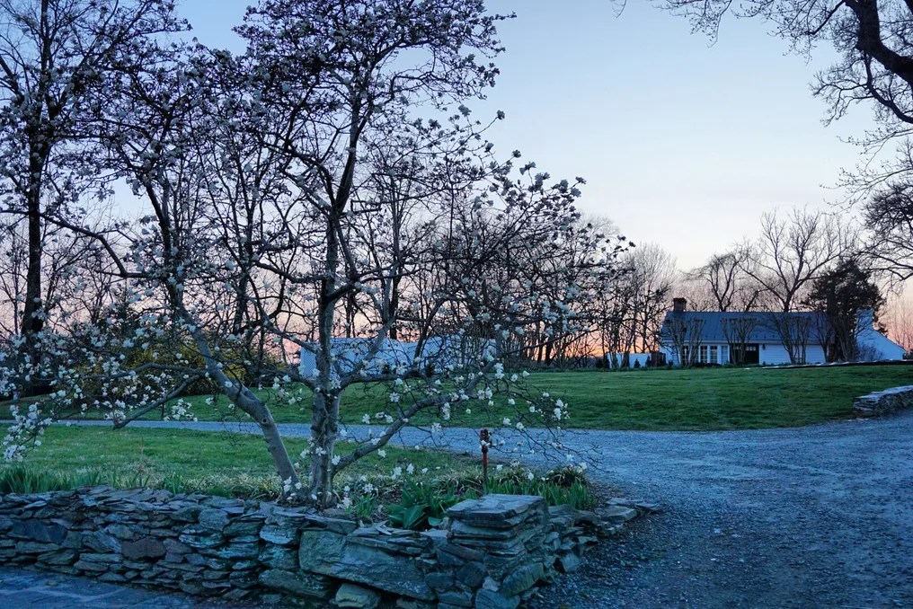 Clifton Inn LLC #25