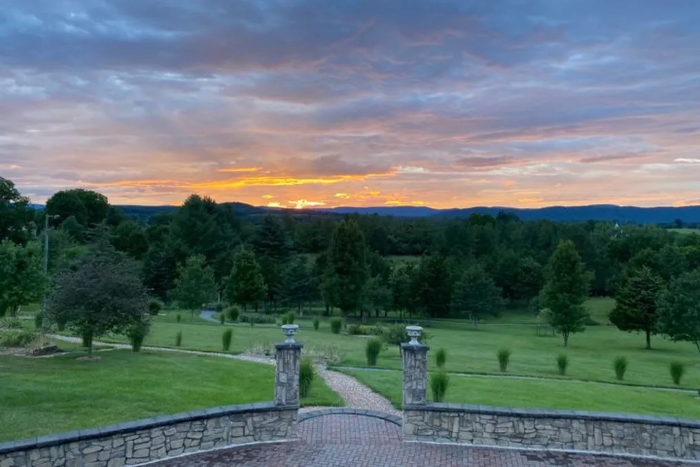 Wolf Gap Vineyard #3