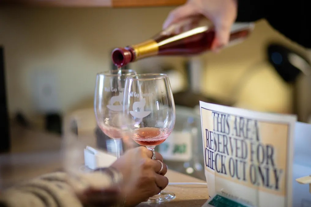 Wolf Gap Vineyard #4