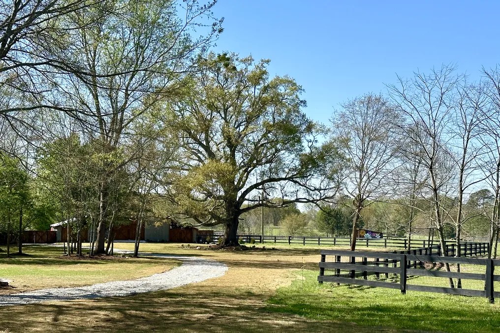 The Grove at Bailey Farms #5