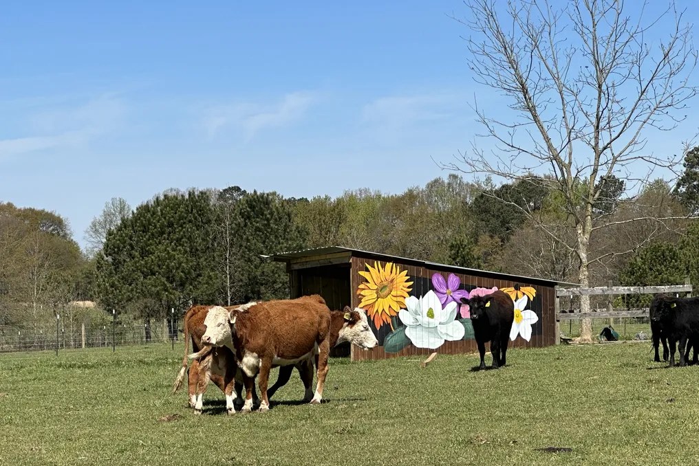 The Grove at Bailey Farms #8