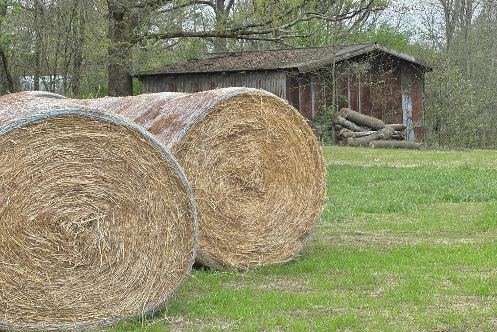 The Grove at Bailey Farms #13