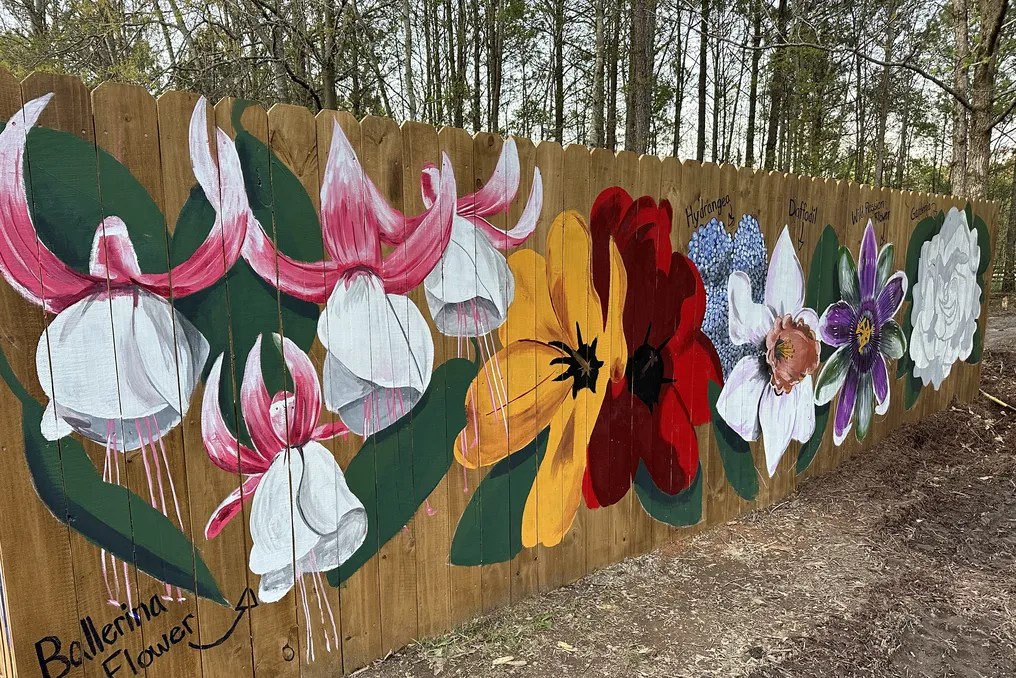 The Grove at Bailey Farms #19