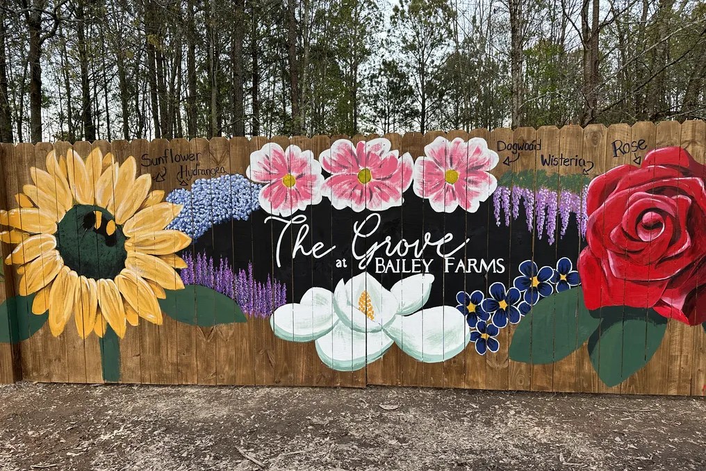 The Grove at Bailey Farms #20