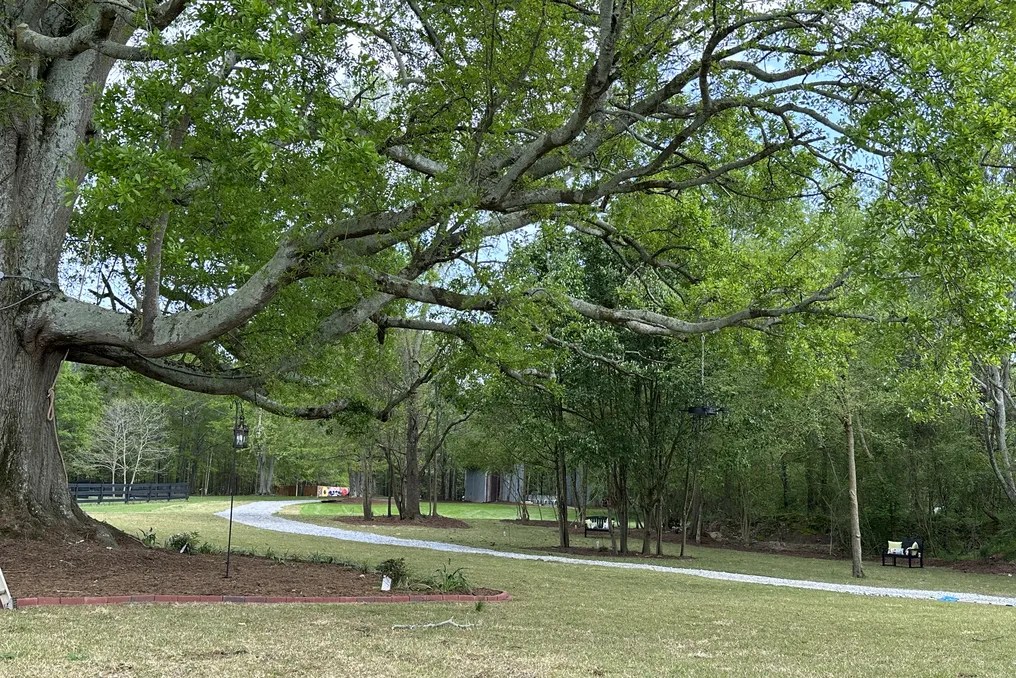 The Grove at Bailey Farms #22