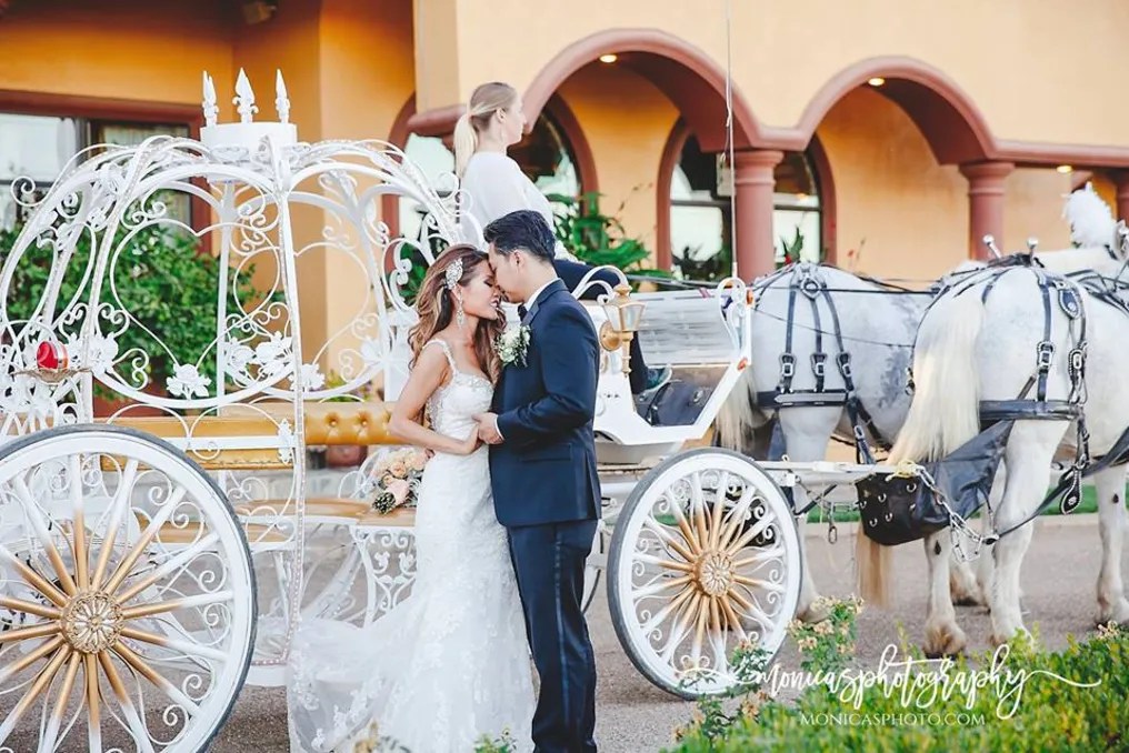 Viaggio Estate & Winery #39
