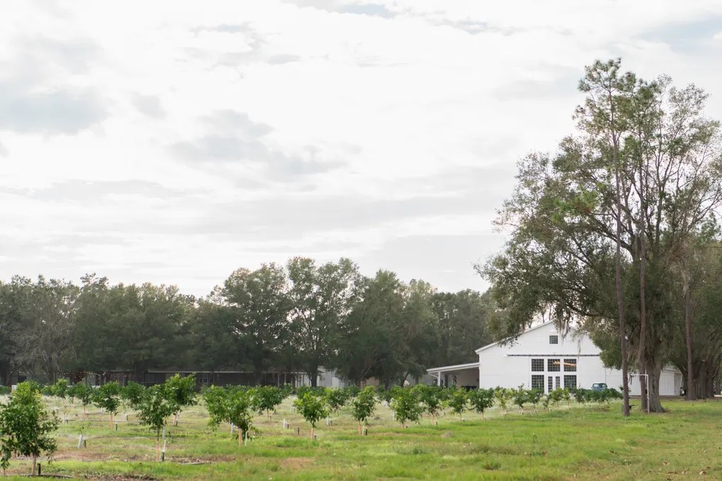 Ever After Farms Citrus Barn #2