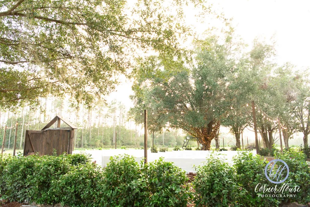 Ever After Farms Citrus Barn #5