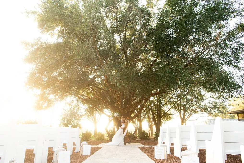 Ever After Farms Citrus Barn #7