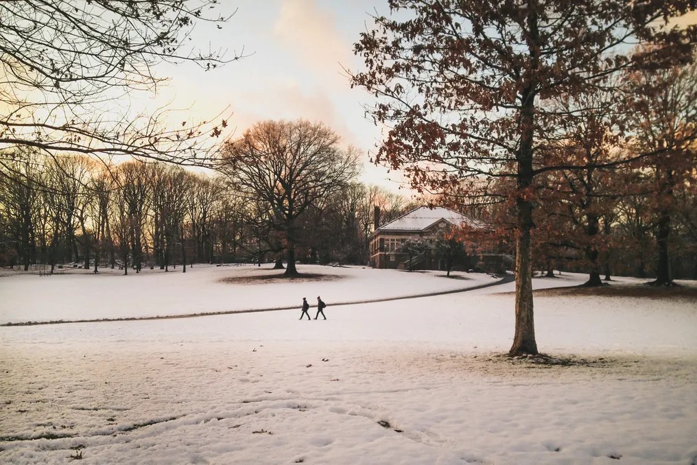 Prospect Park Picnic House #39