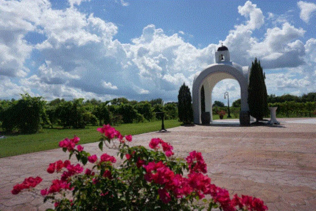 Haak Vineyards & Winery #8