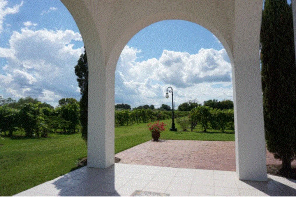 Haak Vineyards & Winery #10