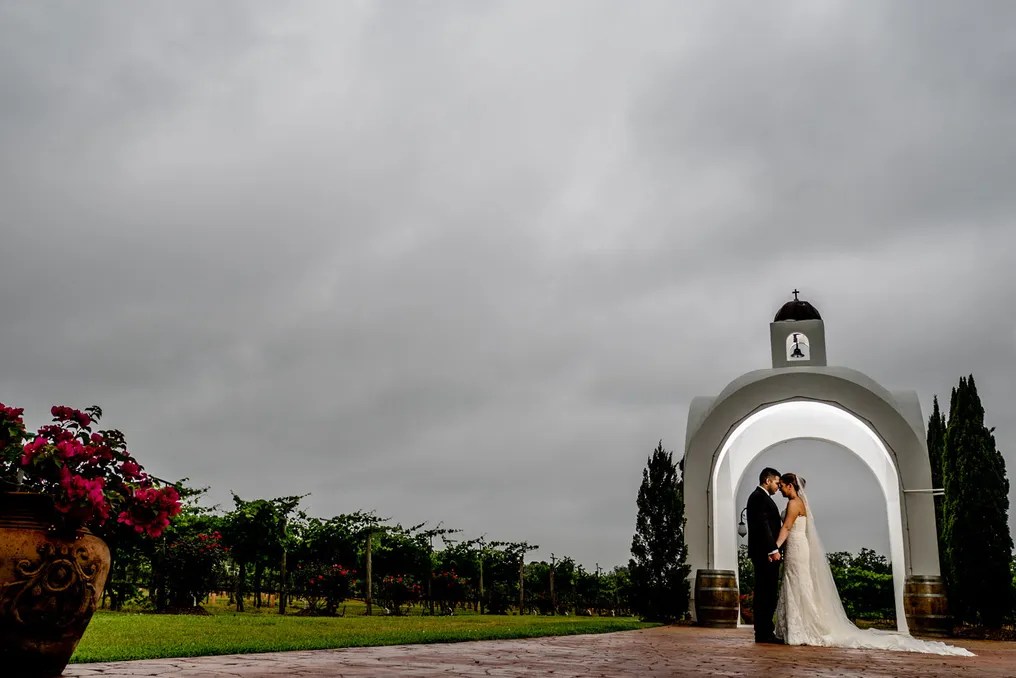 Haak Vineyards & Winery #15
