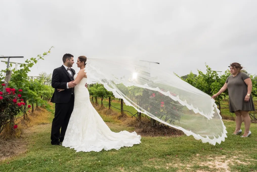 Haak Vineyards & Winery #26