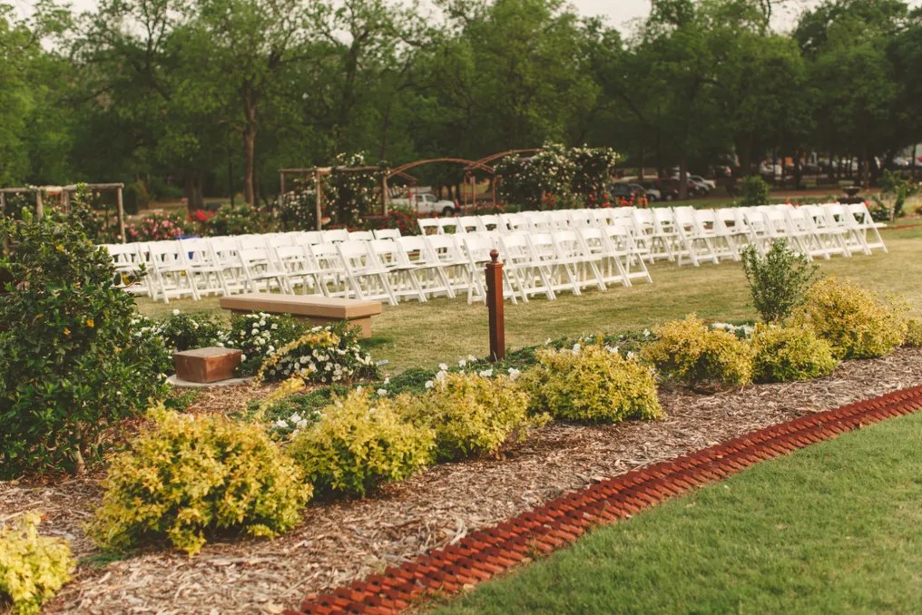 Wedding in the Branch #2