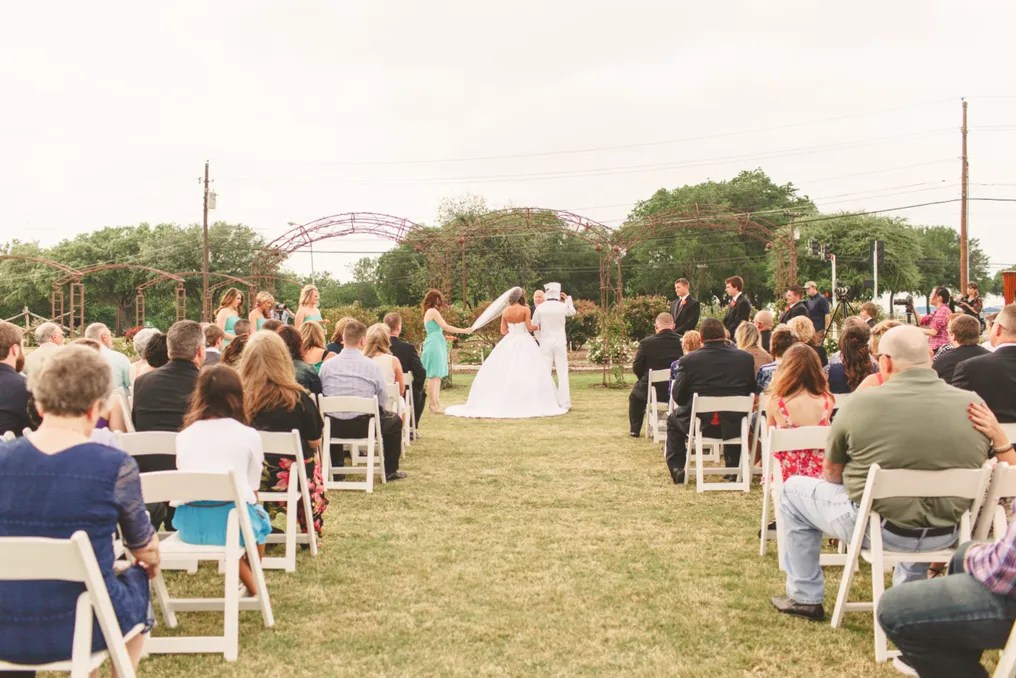 Wedding in the Branch #5