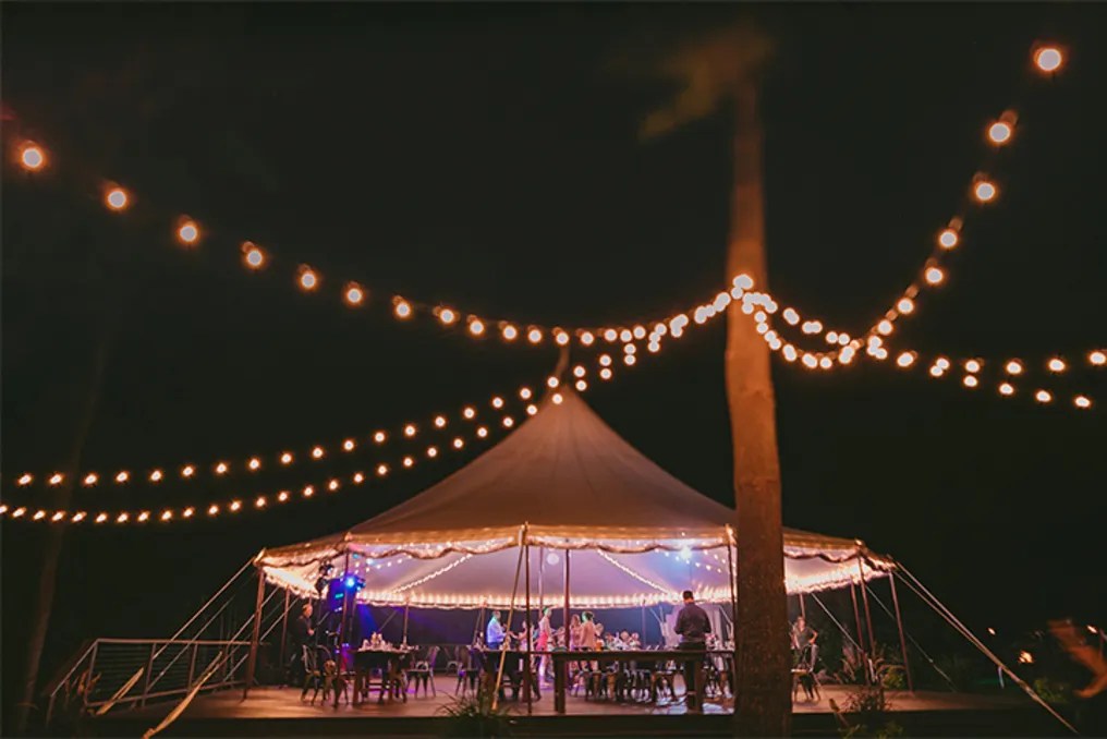 Aster Weddings & Events #64
