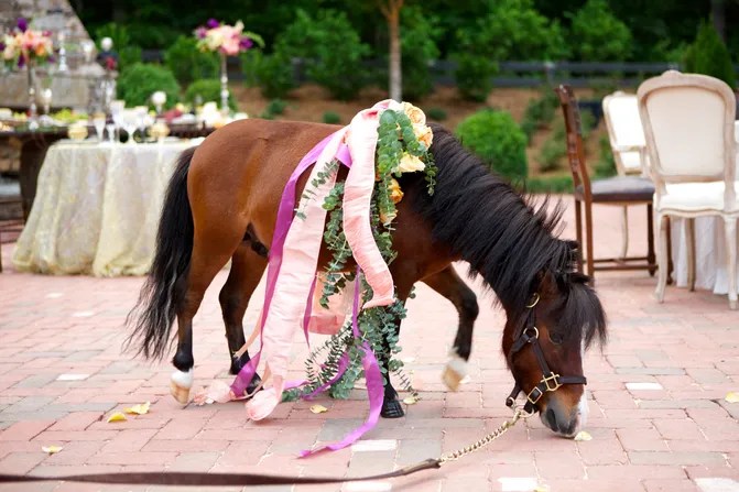 Windwood Weddings #10