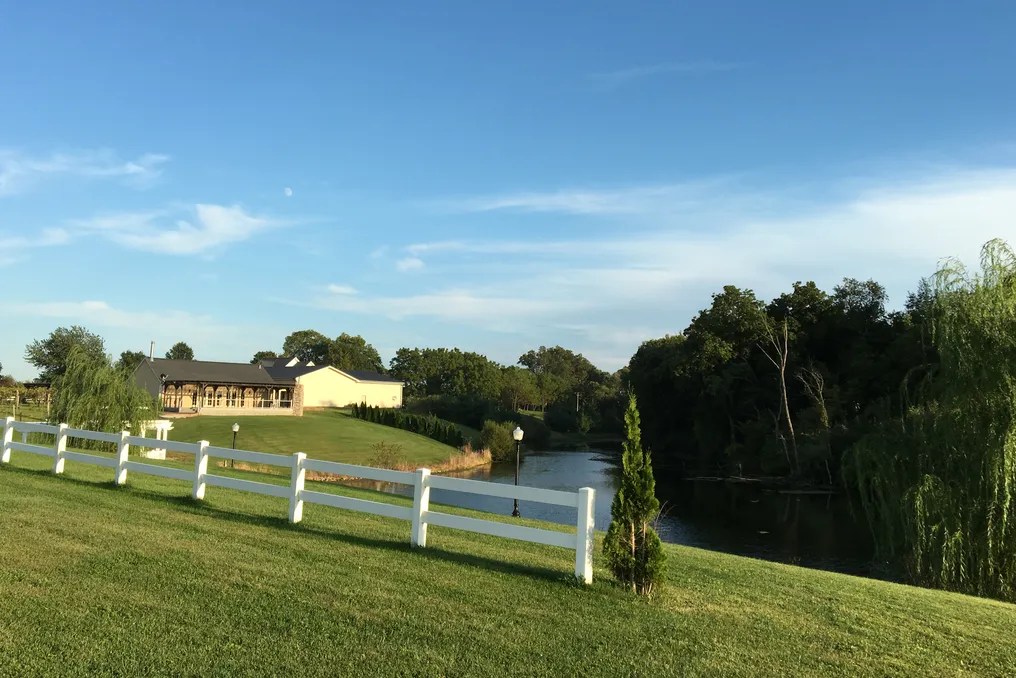 Parker Run Vineyards #19