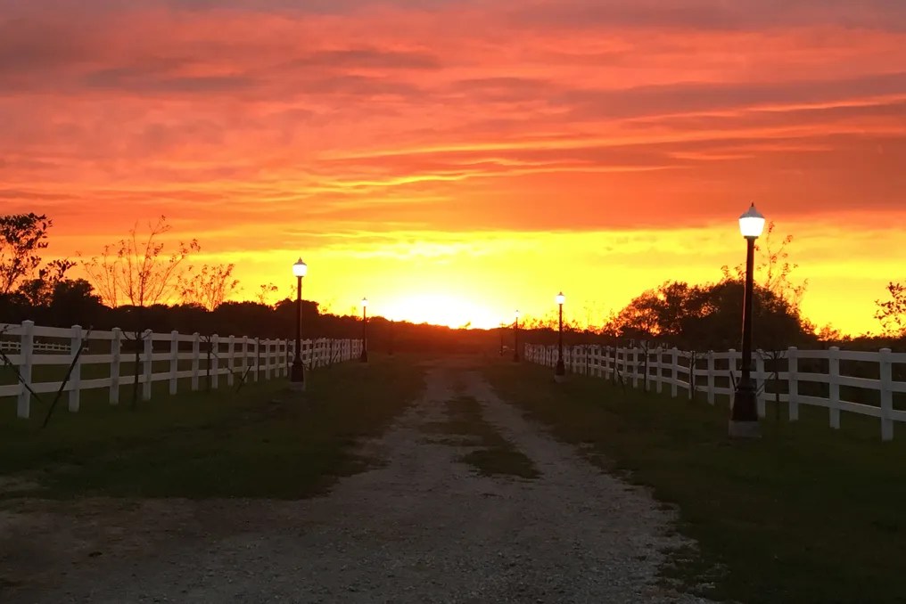 Parker Run Vineyards #20