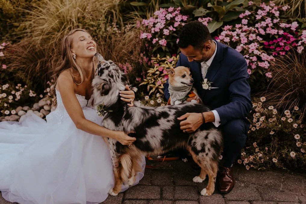 Baywood Weddings #92