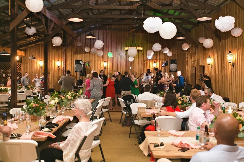 Wolf Trap Farm #12