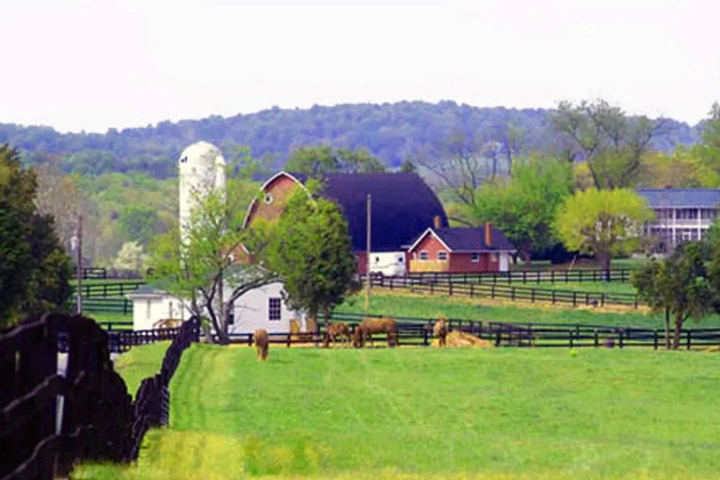 Wolf Trap Farm #24