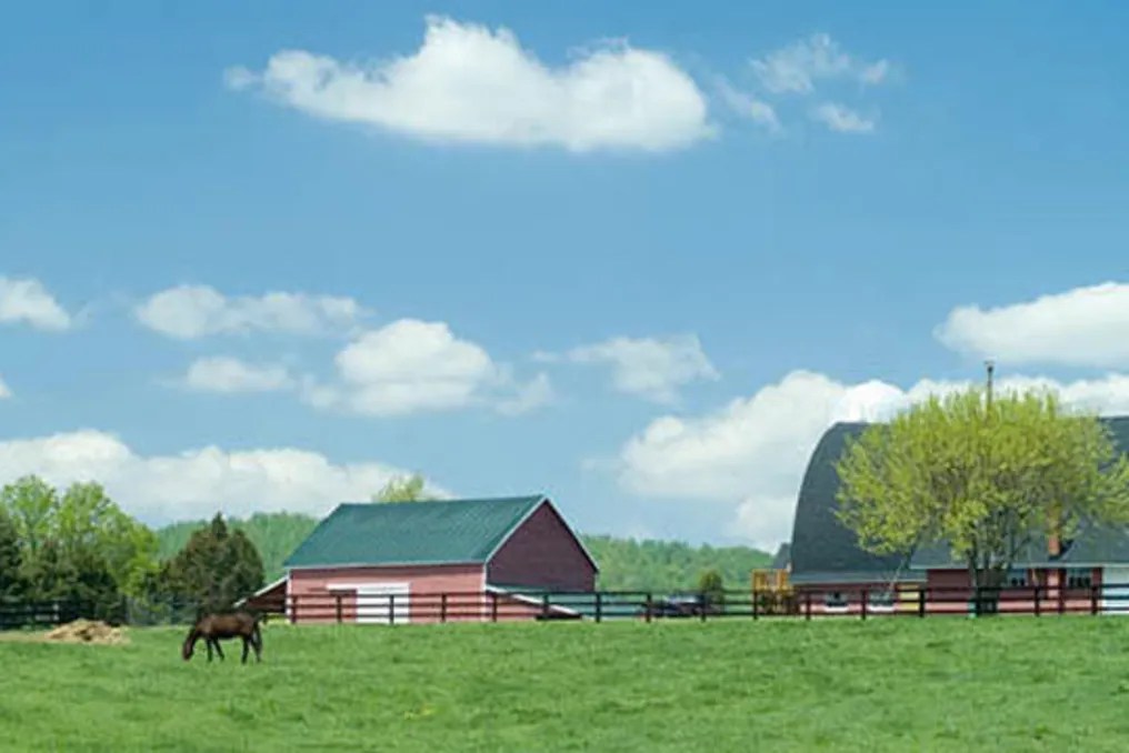 Wolf Trap Farm #25