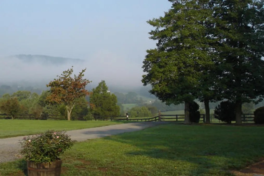Wolf Trap Farm #31