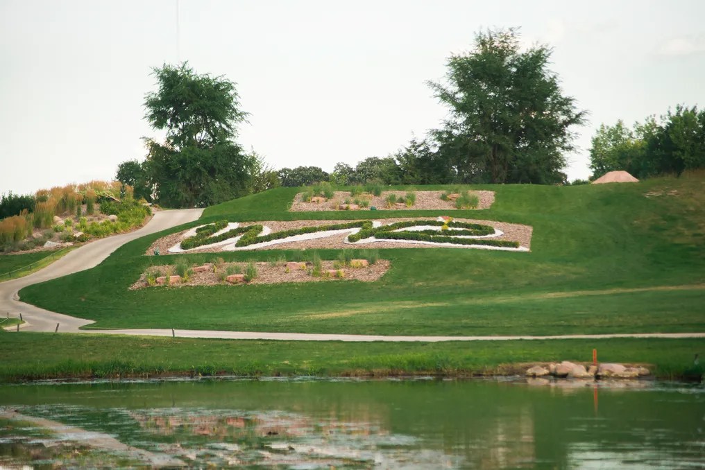 The Willows #7