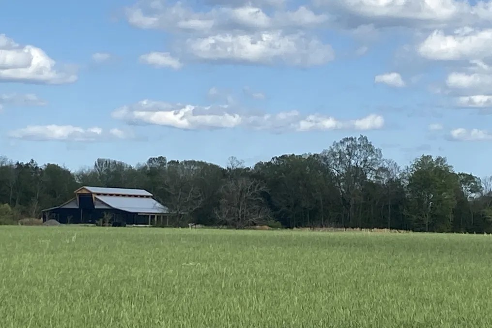 The Fly Farm #13
