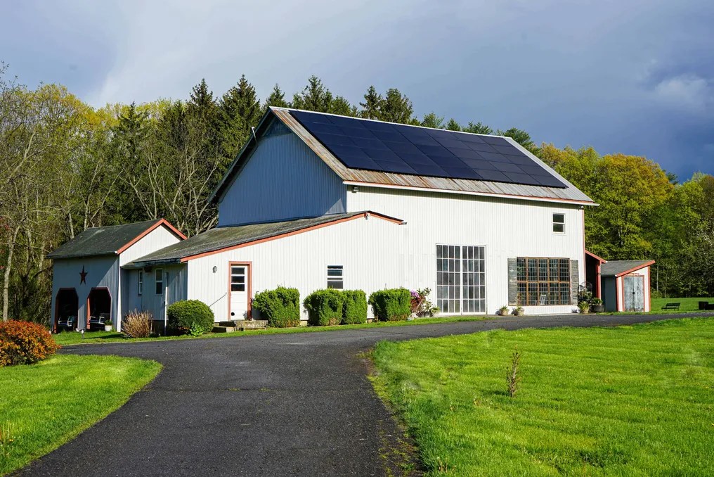 Black Walnut Farm #14