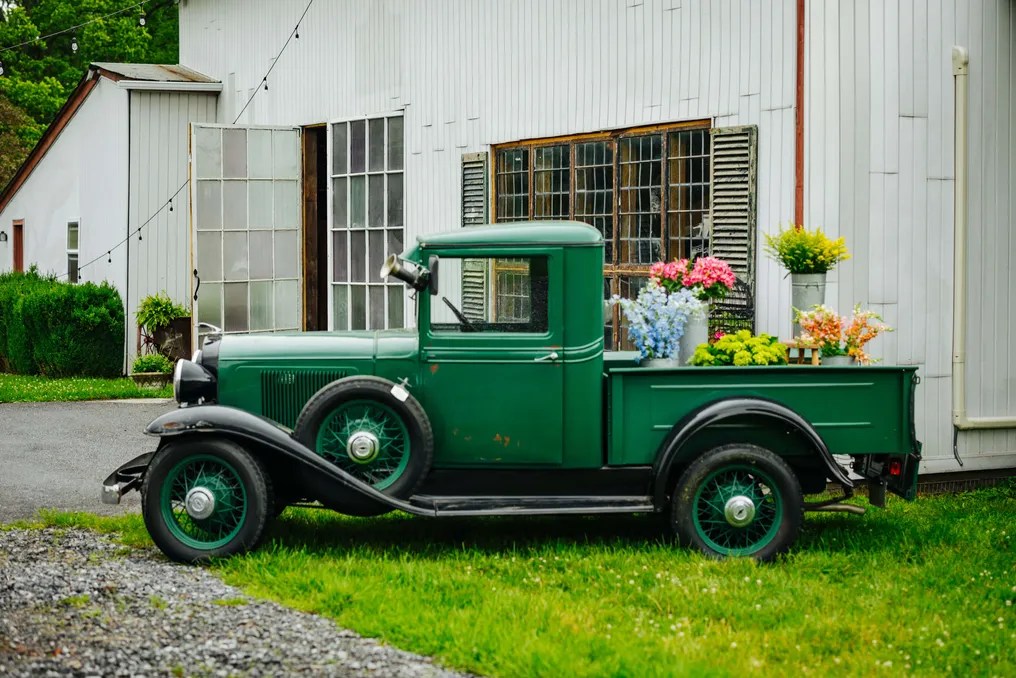 Black Walnut Farm #49