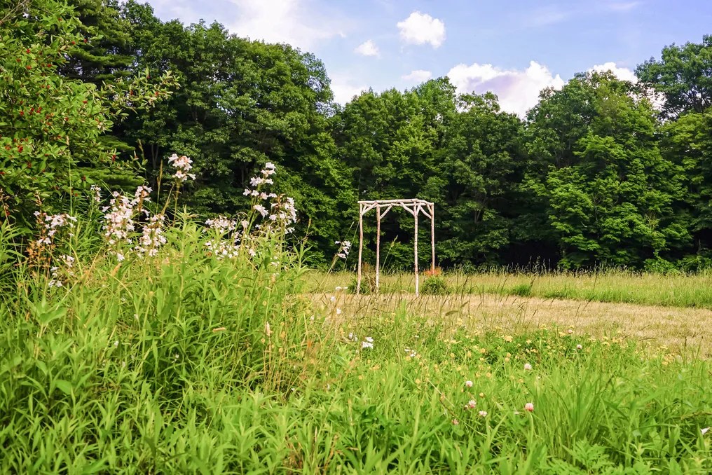 Black Walnut Farm #56
