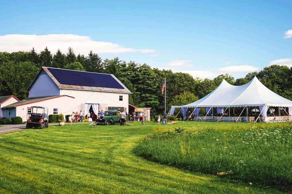 Black Walnut Farm #68