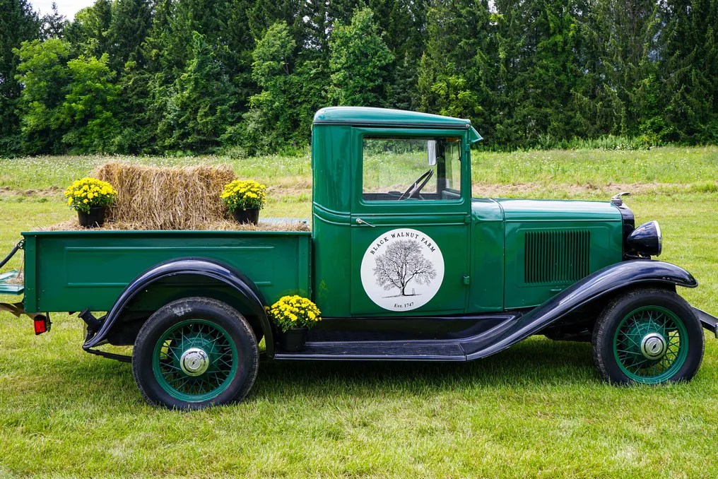 Black Walnut Farm #69