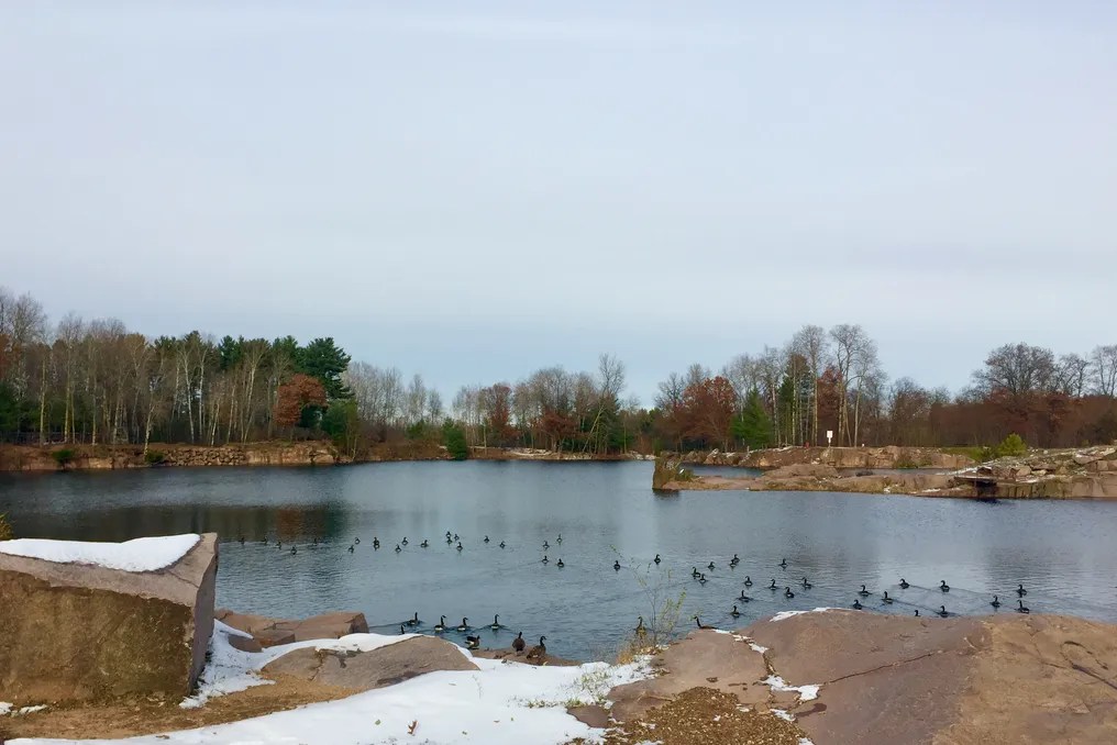 Quarry Side #4