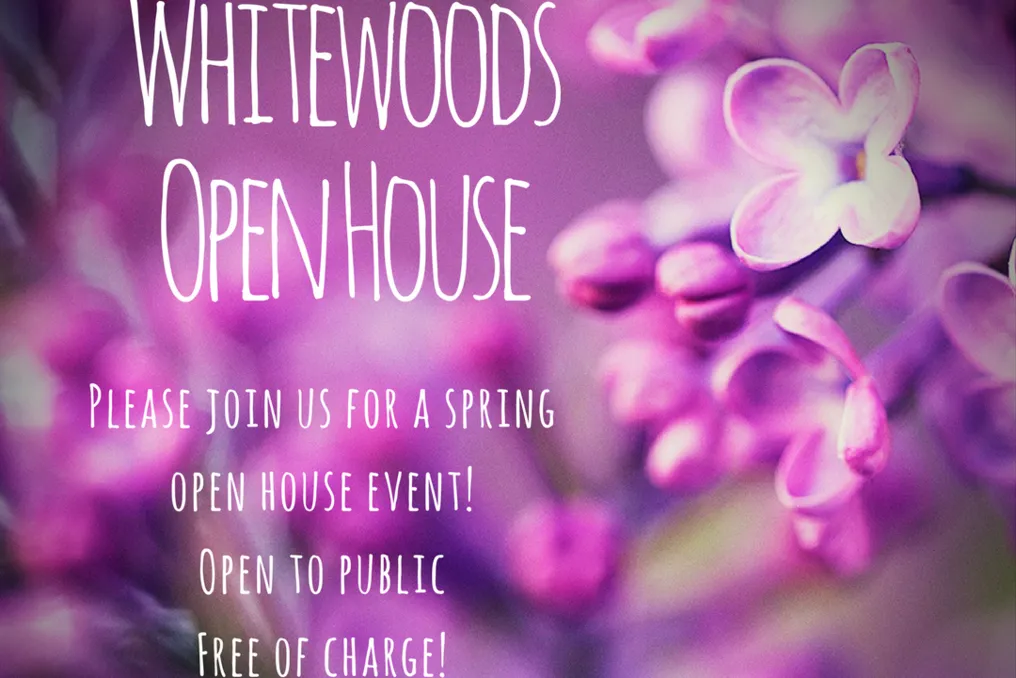Whitewoods #18