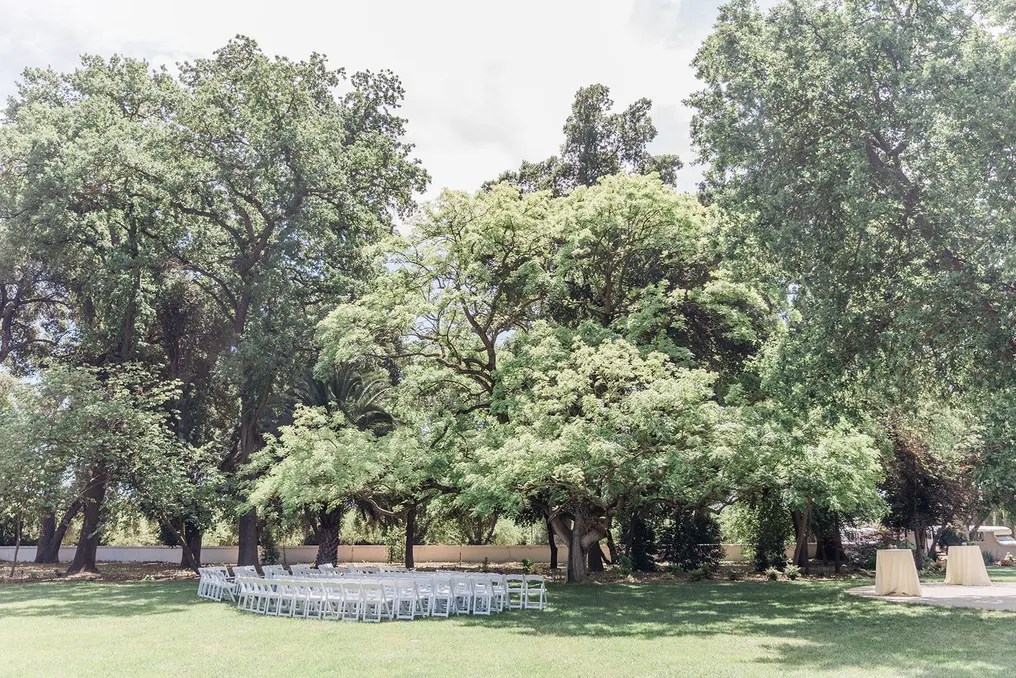 The Maples #5