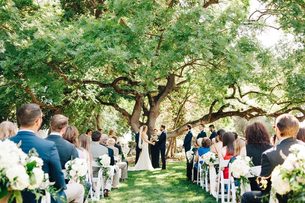 The Maples #13