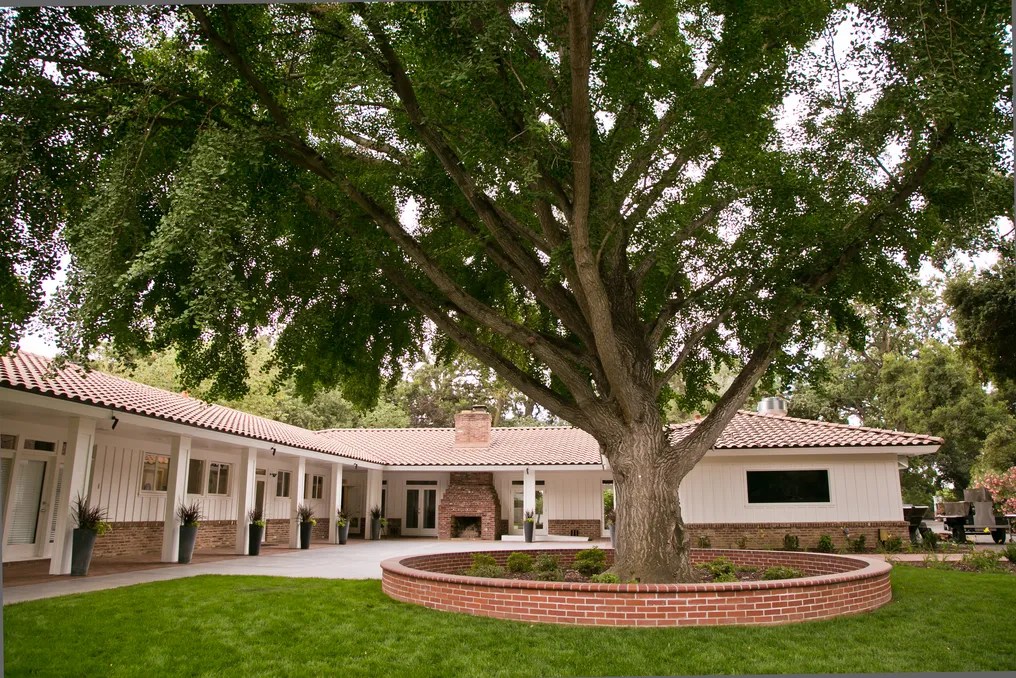 The Maples #14