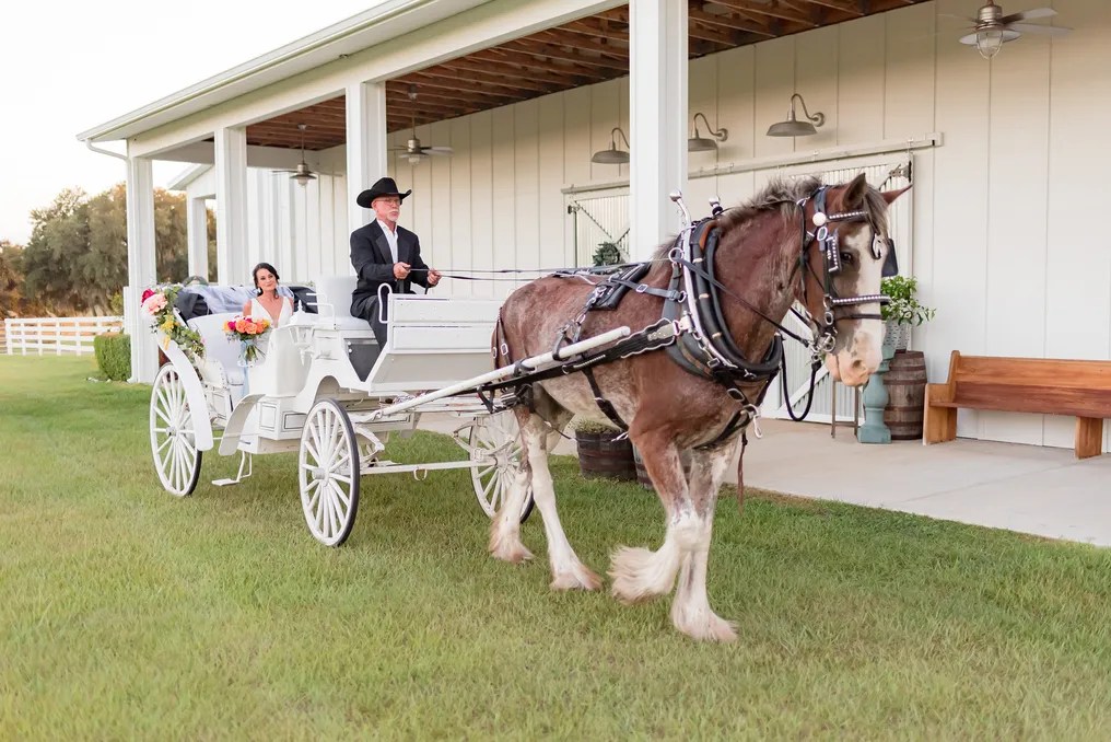 Covington Farm Weddings and Events #21