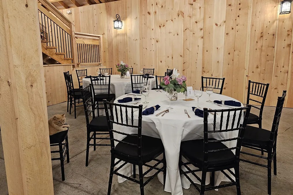 The Manor on Saw Mill #4