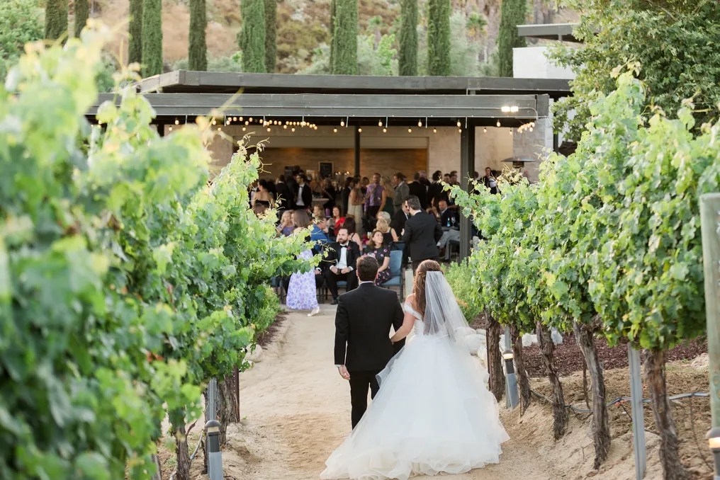 Leoness Cellars #26