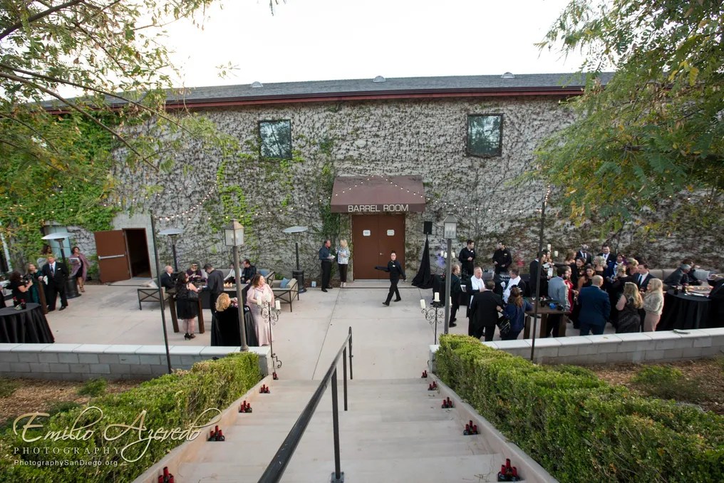Leoness Cellars #28