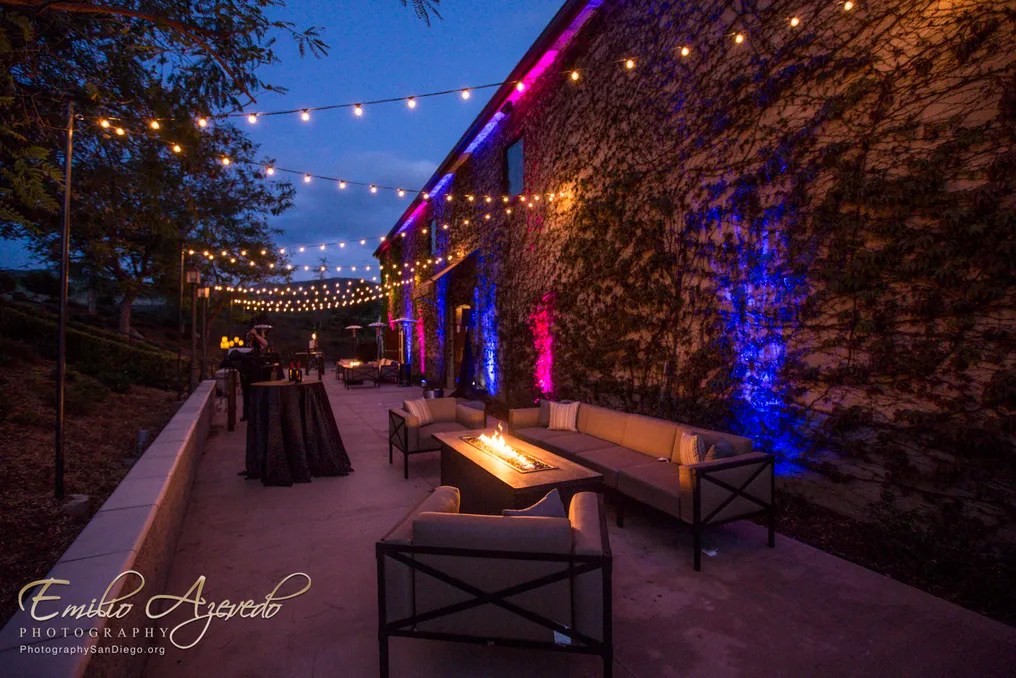 Leoness Cellars #29