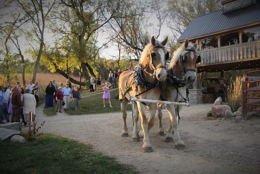 Stonewall Farms #30