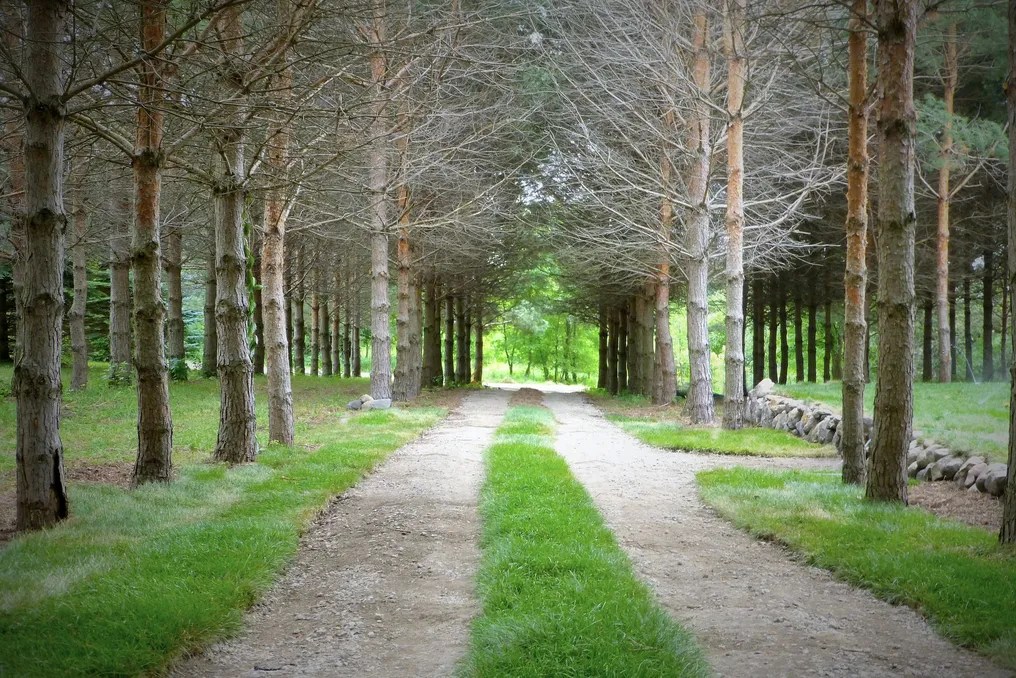 Stonewall Farms #32