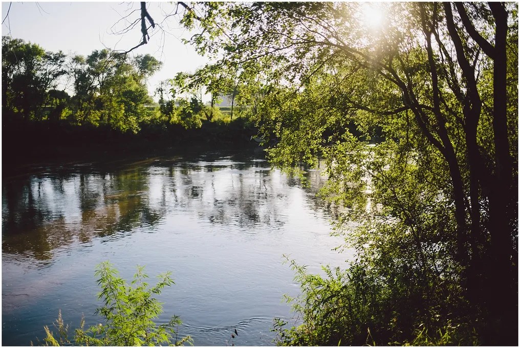 Elkhorn Shores #5