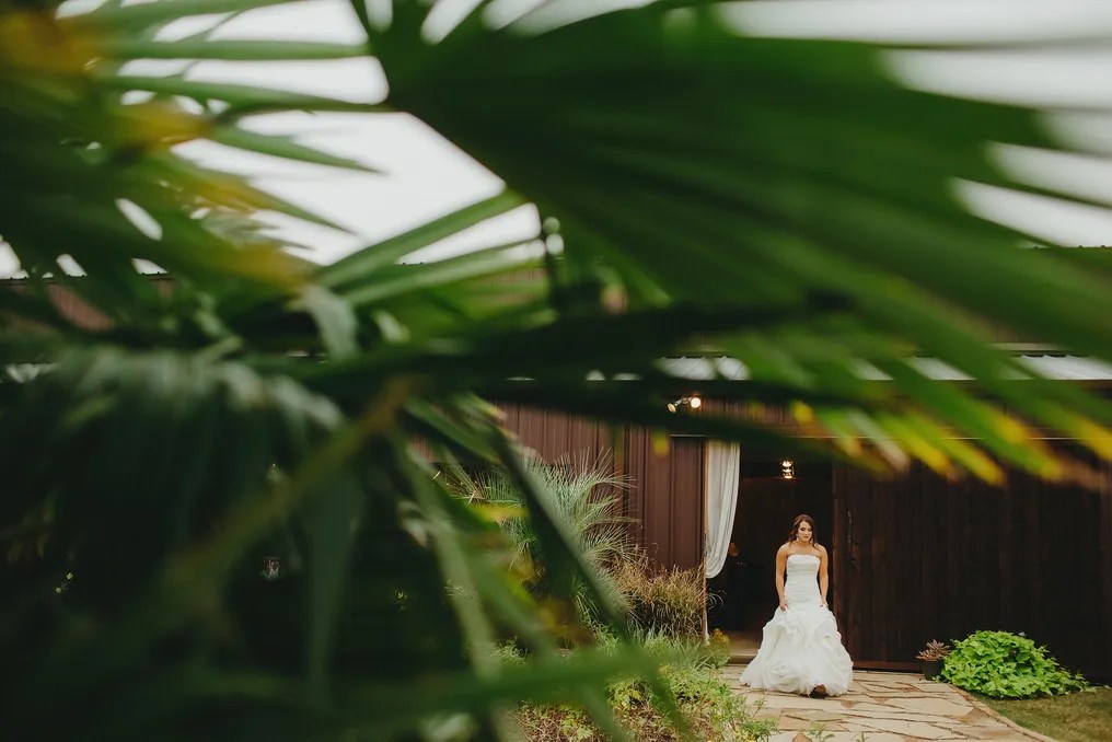 Milagro Farms #21
